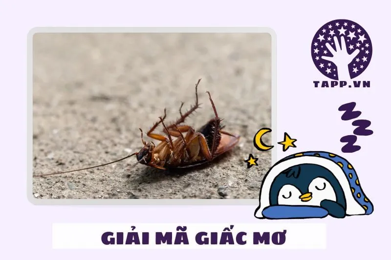 Các Tình Huống Thường Gặp Khi Mơ Thấy Gián Và Ý Nghĩa Cụ Thể