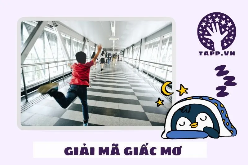 Điềm báo khi mơ thấy bị rượt đuổi trong các tình huống khác nhau