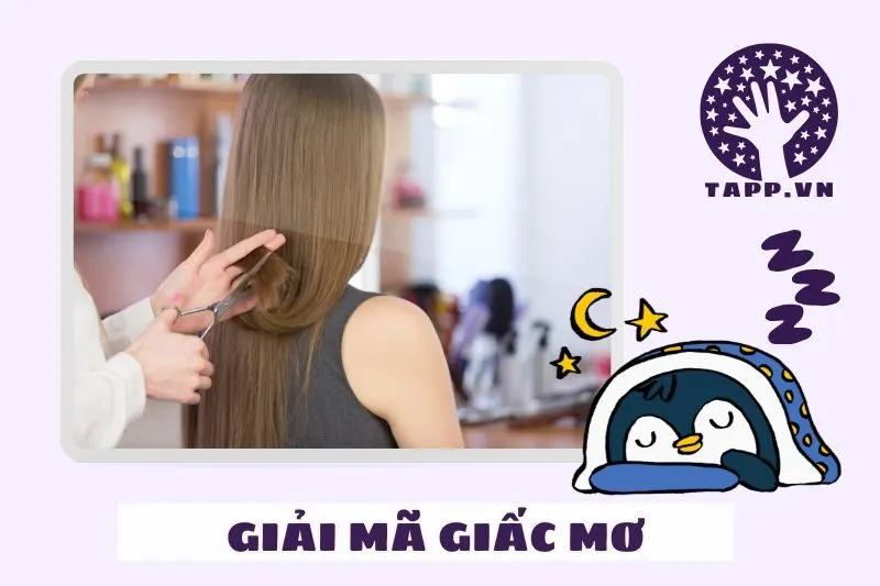 Điềm Báo Từ Các Loại Giấc Mơ Thấy Cắt Tóc Đặc Biệt