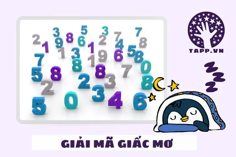 Giải Mã Các Con Số Trong Giấc Mơ