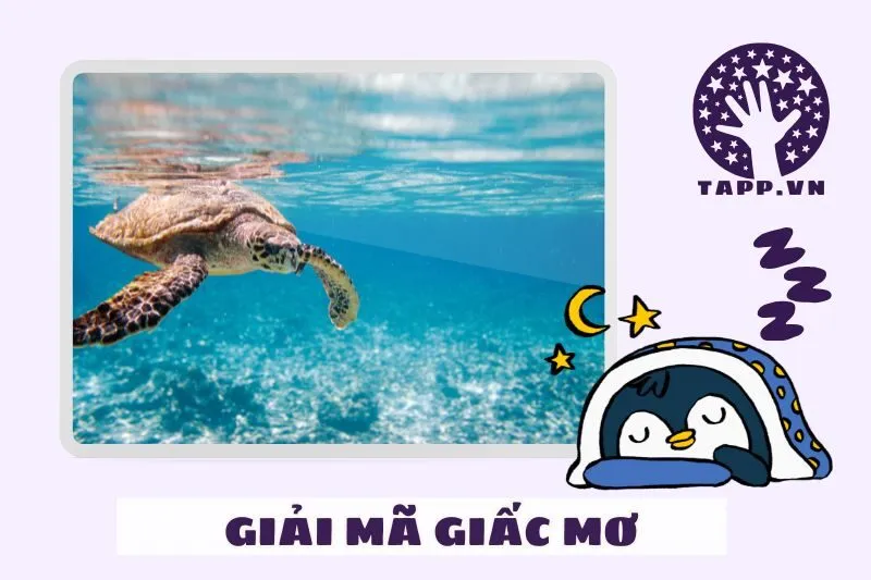 Giải Mã Các Loại Giấc Mơ Thấy Rùa Cụ Thể