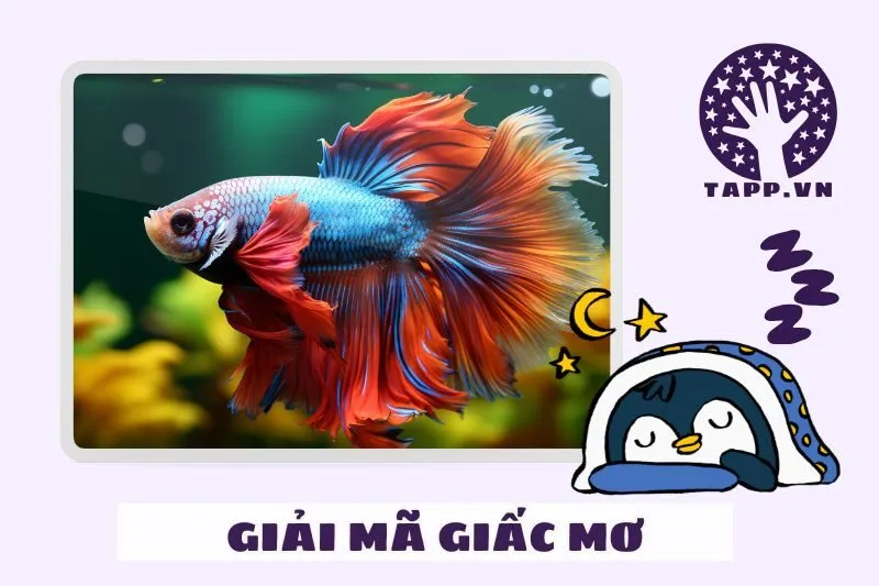 Giải mã giấc mơ nằm mơ thấy cá có ý nghĩa gì?