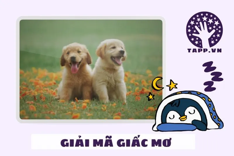 Giải Mã Hành Vi Của Chó Trong Giấc Mơ