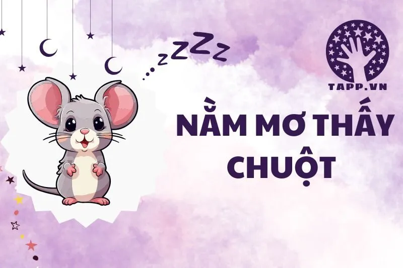 Giải mã nằm mơ thấy chuột 2024: Điềm báo gì? Tốt hay xấu?