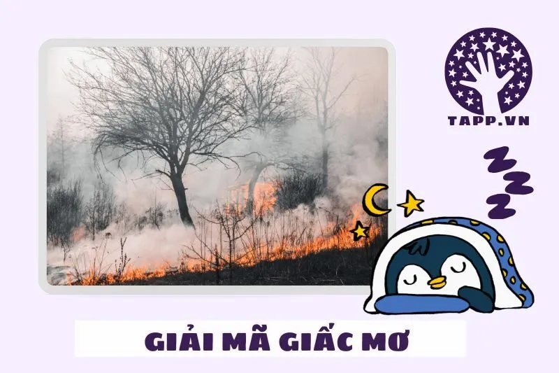 Giải Mã Ý Nghĩa Của Giấc Mơ Thấy Lửa