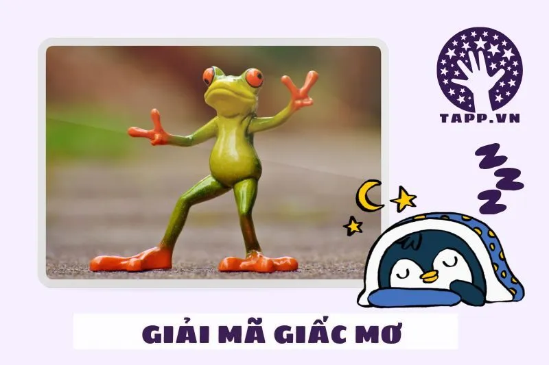 Màu sắc của ếch trong giấc mơ và những điềm báo quan trọng