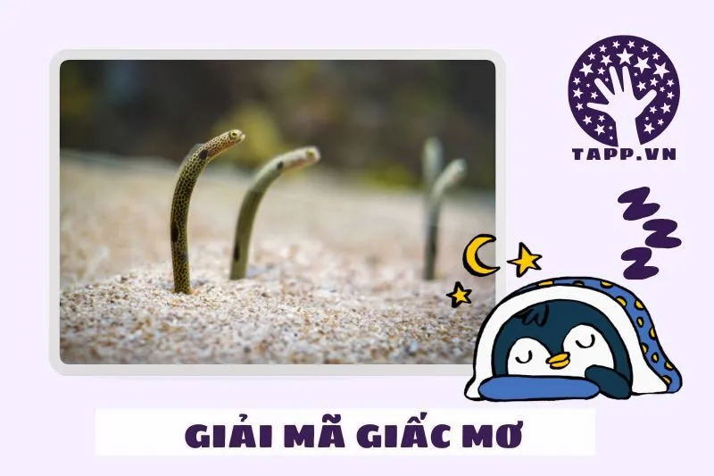 Mơ thấy lươn có liên quan đến cuộc sống thực tế không?