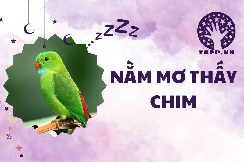 Nằm Mơ Thấy Chim: Giải Mã Điềm Báo Và Ý Nghĩa Chi Tiết 2024