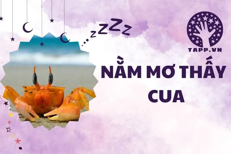 Nằm Mơ Thấy Cua: Giải Mã Điềm Báo Công Việc, Sức Khỏe Và Tài Chính 2024