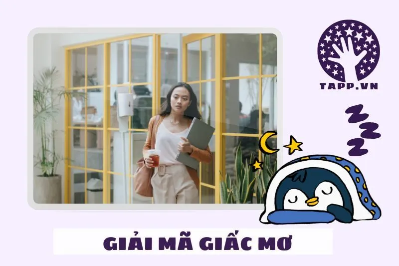 Nằm mơ thấy đi học báo hiệu điều gì trong tương lai?