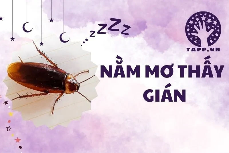 Nằm Mơ Thấy Gián: Điềm Báo Và Ý Nghĩa Tâm Linh 2024