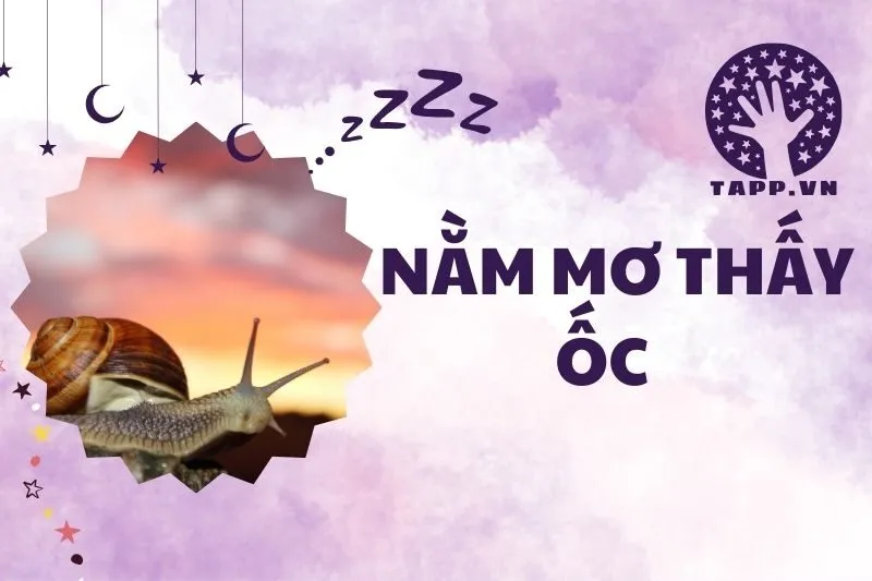 Nằm mơ thấy ốc: Giải mã điềm báo và con số may mắn 2024