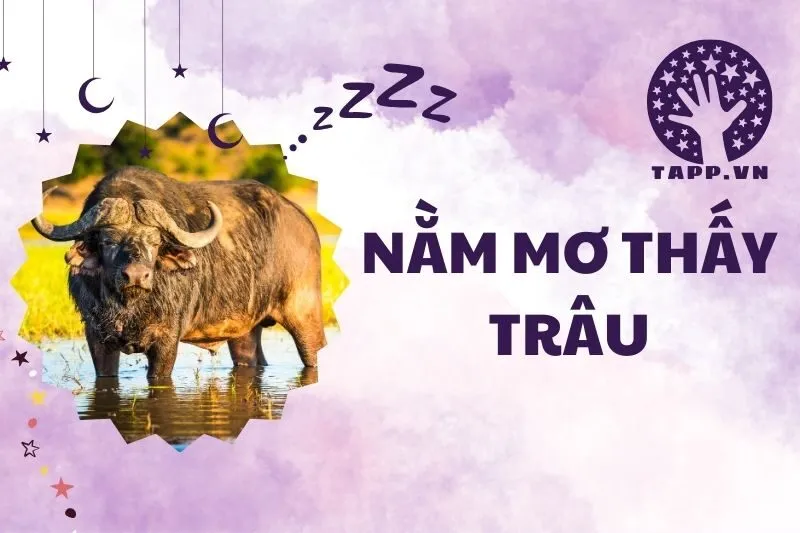 Nằm mơ thấy trâu: Ý nghĩa và điềm báo trong cuộc sống 2024