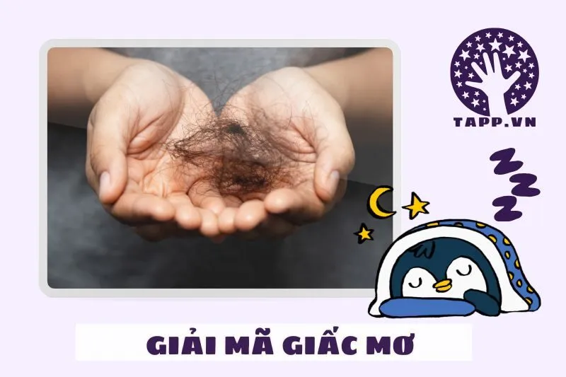 Tác động của giấc mơ rụng tóc đến sức khỏe và tinh thần