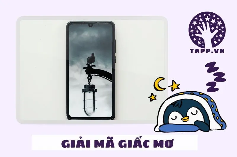 Tâm lý và sức khỏe liên quan đến giấc mơ