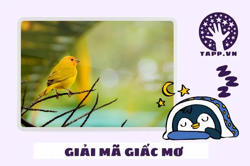 Ý Nghĩa Của Từng Loại Chim Trong Giấc Mơ